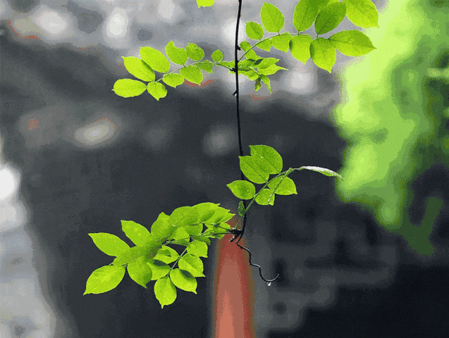 在古代，每一(yī)場(chǎng)雨(yǔ)都(dōu)有(yǒu)自(zì)己的(de)名字