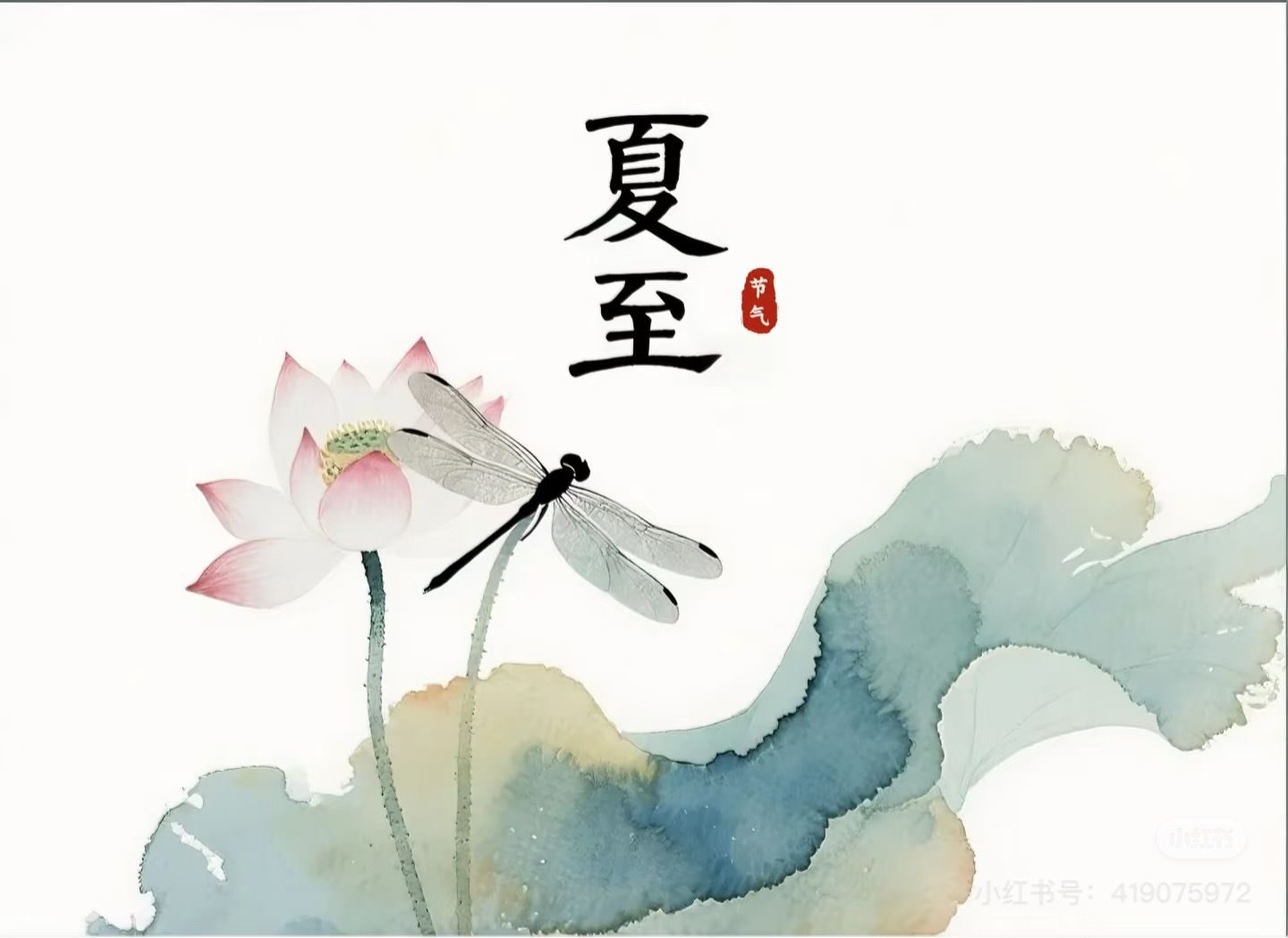 夏至